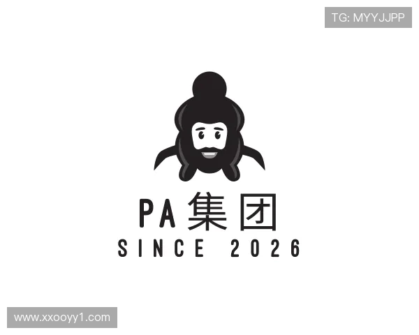 关于PA集团